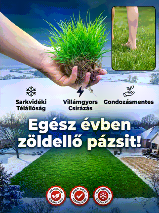 【Csírázási arány 99%】Négyszezonos fagyálló pázsitmag