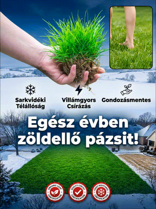 【Csírázási arány 99%】Négyszezonos fagyálló pázsitmag