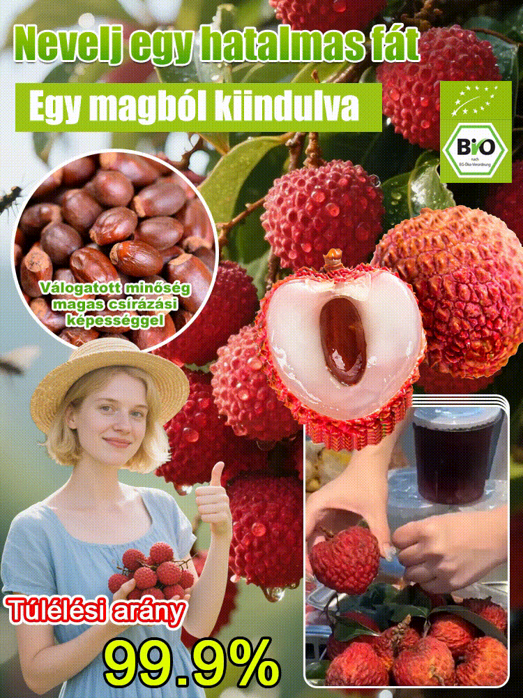 Csomagolja a Lychee King túlélési magjait