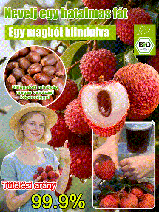Csomagolja a Lychee King túlélési magjait