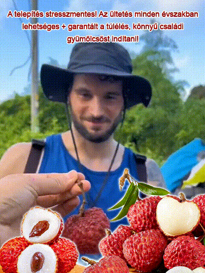 Csomagolja a Lychee King túlélési magjait