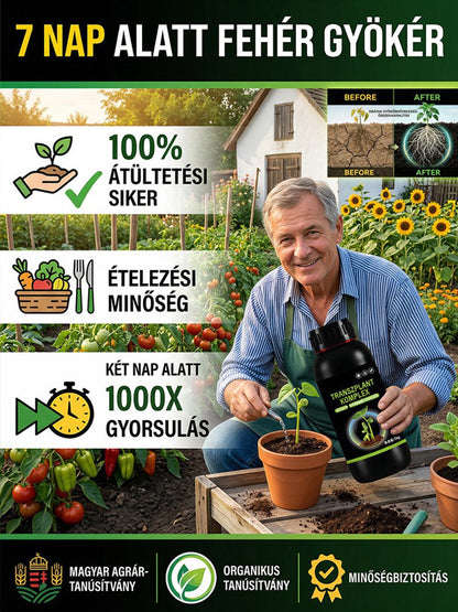 【Élő talajlény】Kertészeti átültetési gyökérnövesztő folyadék