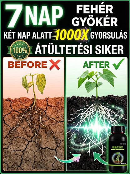 【Élő talajlény】Kertészeti átültetési gyökérnövesztő folyadék